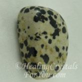 Dalmatian Stone Dalmatian Jasper