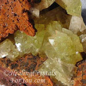 Adamite Adamite