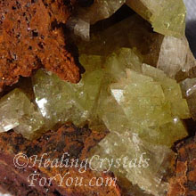 Adamite Adamite