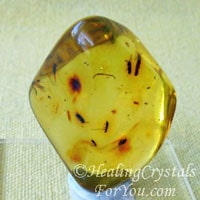 Amber Stone