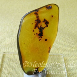 Ámbar" title = "Amber" data-pin-media = "https: //www.healing-crystals-for-you.com/images/amber- sq250-1.jpg "/> <span class=