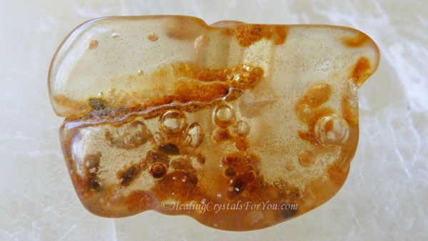 Amber With Terminates In Amber With Terminates In