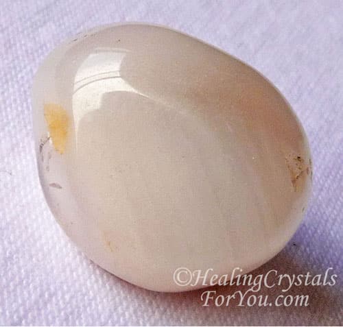 Amphibole Quartz Amphibole Quartz