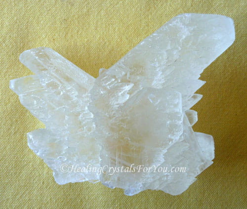 Angel Wing Selenite