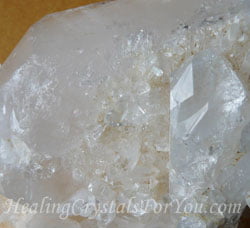 Barnacle Crystal