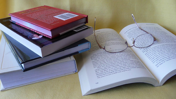 Lire les critiques des livres de Sonia Chaquette