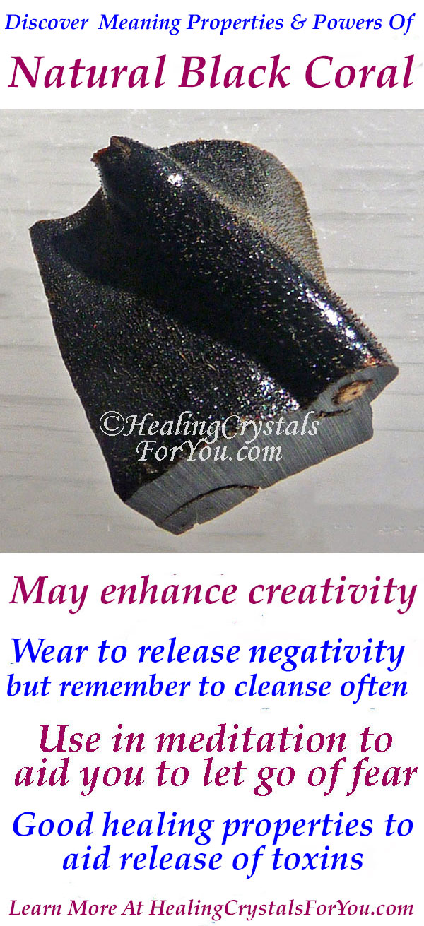 Black Coral Healing Properties & Benefits