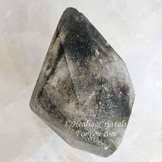 Bloedite Bloedite