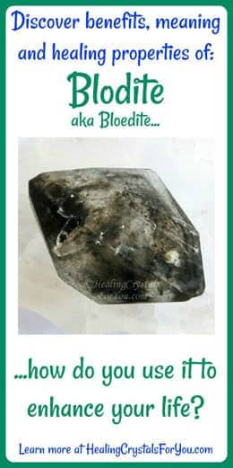 Blodite Blodite