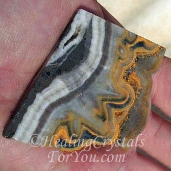 Bumble Bee Jasper Bumble Bee Jasper