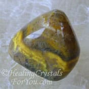 Bumble Bee Jasper