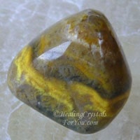 Bumble Bee Jasper