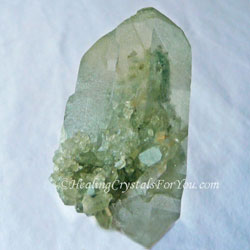 Himalayan Green Phantom Quartz