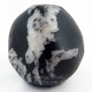 Chrysanthemum Stone Chrysanthemum Stone