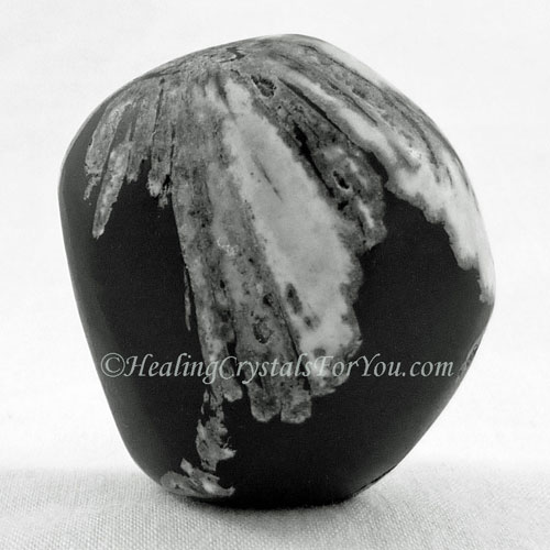 Chrysanthemum Stone