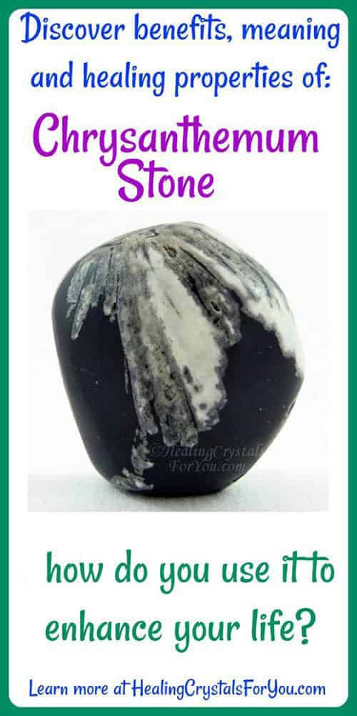 Chrysanthemum Stone Signification des propriétés et des pouvoirs Chrysanthemum Banner Copyright