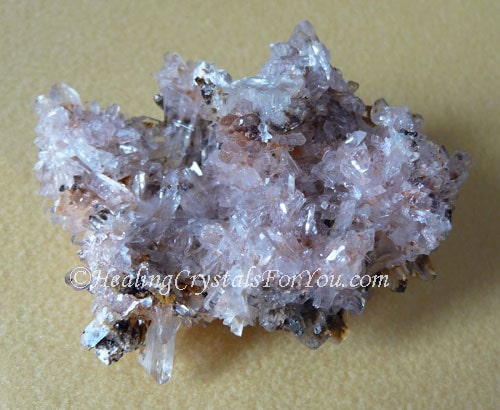 Creedite