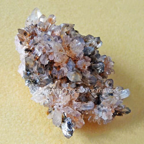 Creedite