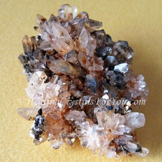 Creedite Creedite