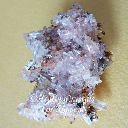 Creedite