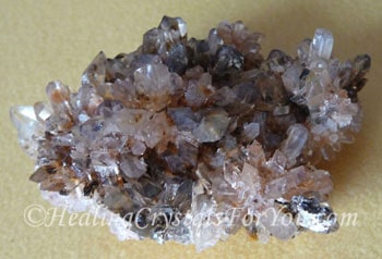 Creedite Creedite