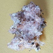 Creedite