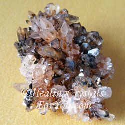 Creedite