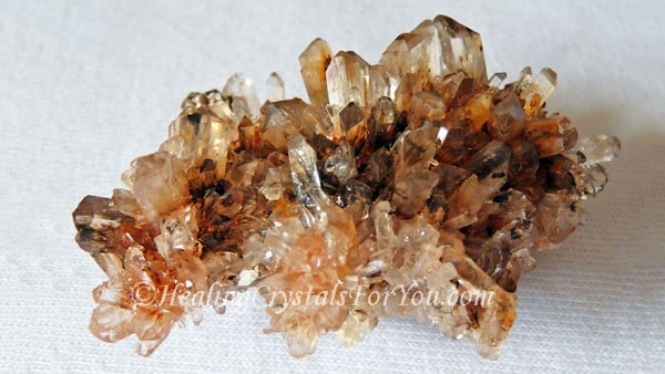 Creedite Creedite