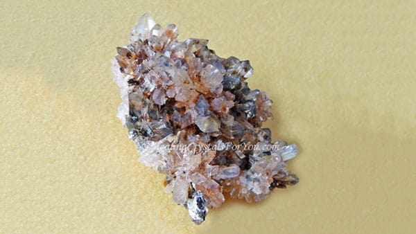 Creedite
