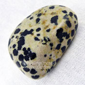 Dalmatian Jasper