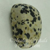 Dalmatian Jasper