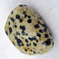 Dalmatian Jasper