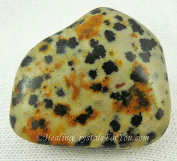 black and white speckled stone