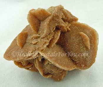 Desert Rose Desert Rose