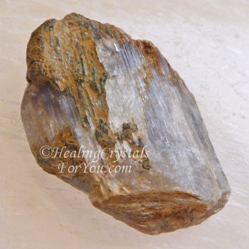 Diaspore Diaspore