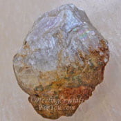 Diaspore Diaspore