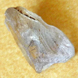 Diaspore Diaspore