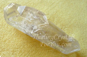 Dolphin Crystal Dolphin Crystal