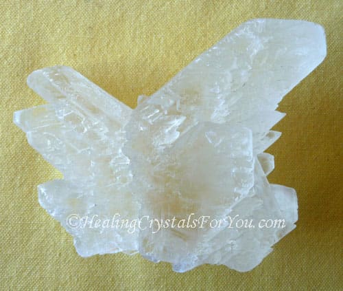Fishtail Selenite Fishtail Selenite