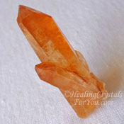 Golden Healer Point Golden Healer Point