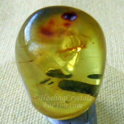 Green amber Green amber