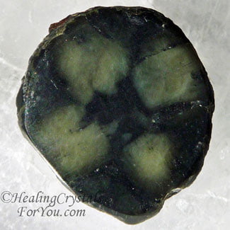 Green Chiastolite Green Chiastolite