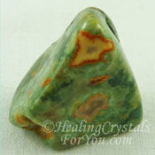 Rainforest Jasper