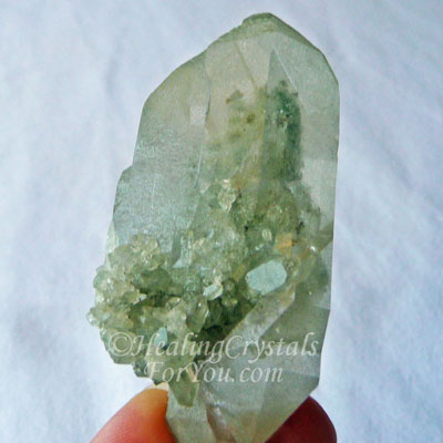 Chlorite Quartz Chlorite Quartz
