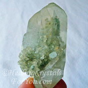 Chlorite Quartz Chlorite Quartz