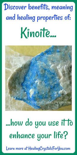 Kinoite Kinoite