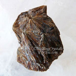 Lamprophyllite Lamprophyllite