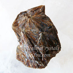 Lamprophyllite Lamprophyllite