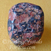 Leopardskin Jasper Leopardskin Jasper