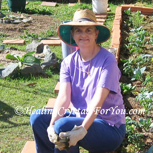 Liz liz garden 1f